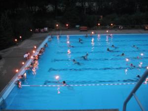 fackelschwimmen 1 20110821 1220864924